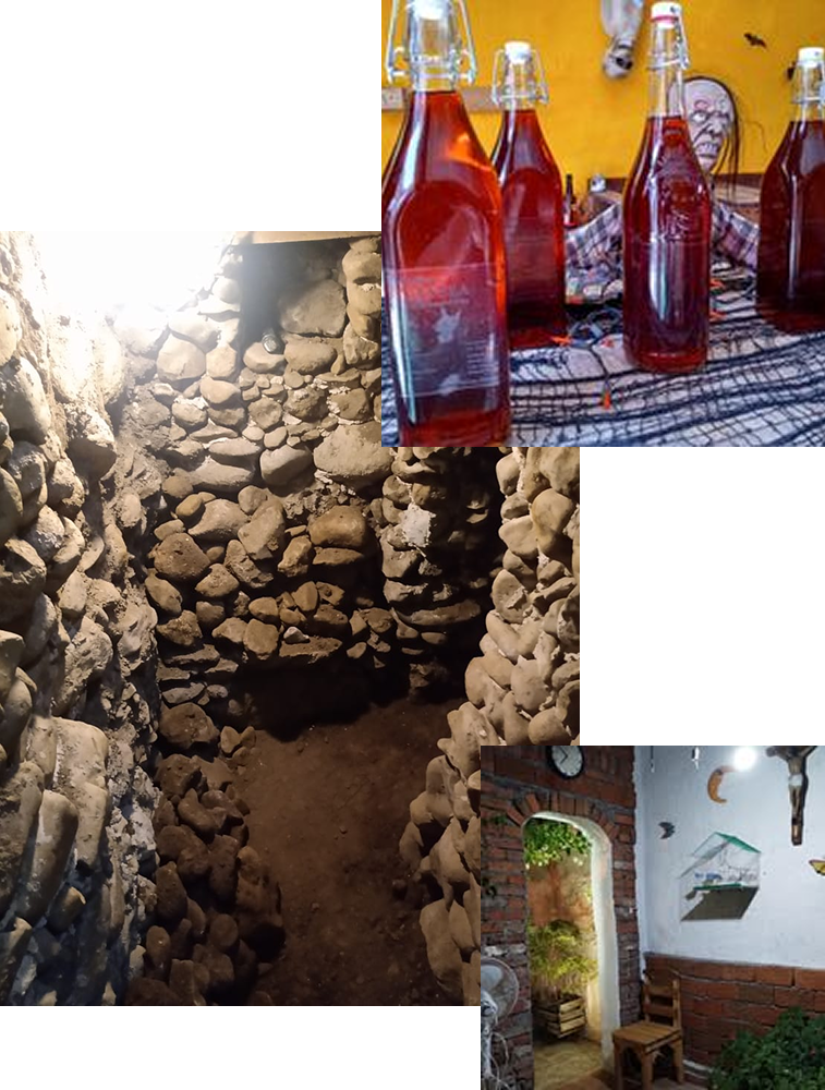 Interior del Museo Remedios